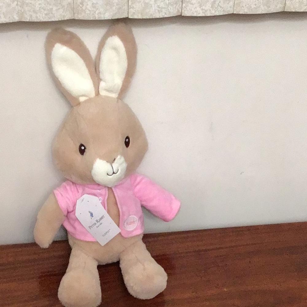 Pink Jacket Bunny Plush Toy
